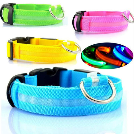 Luminous Led Dog Collar - Night Safety Style