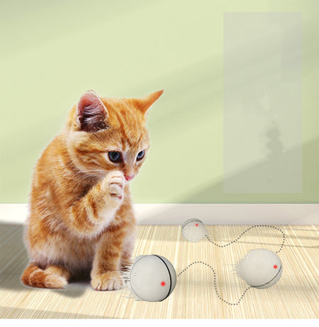 Smart Led Laser Cat Ball Endless Feline Fun