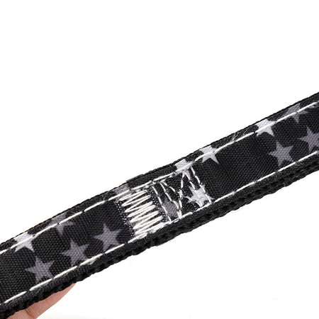 Cartoon Dog Leash Fun Safe Stylish Walks