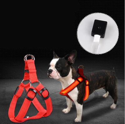 Led Luminous Dog Harness - Light Up Your Walks
